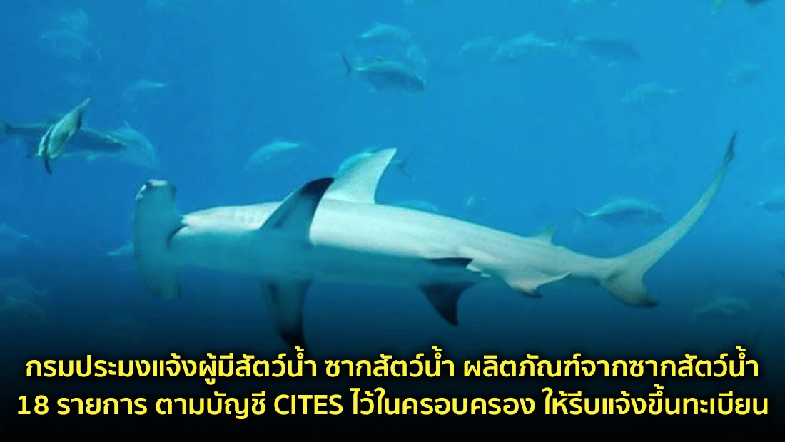 website 2013
