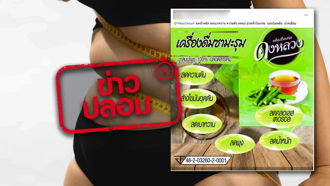 website 2062