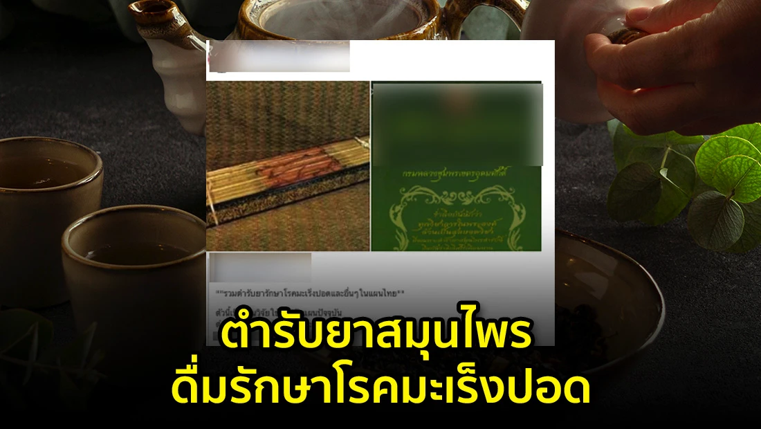 website 2304