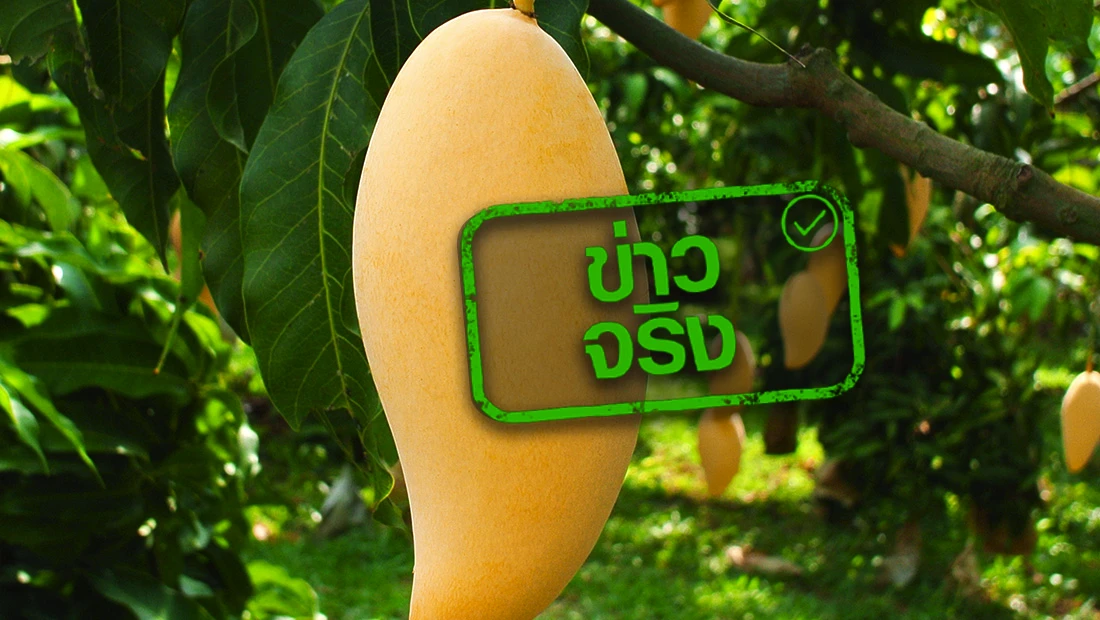 website 2344