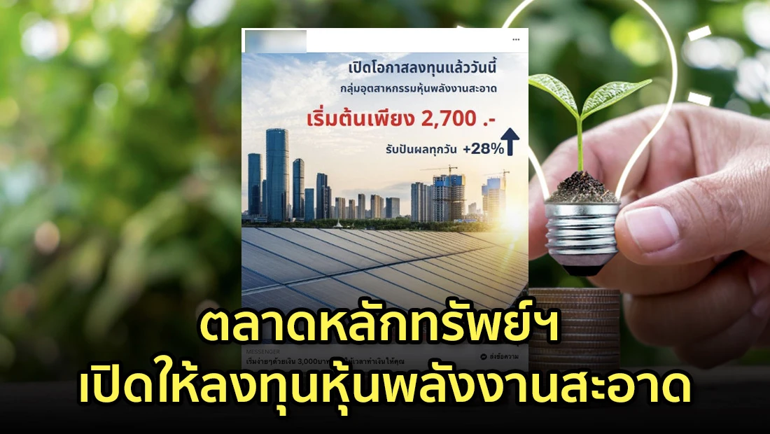 website 2521