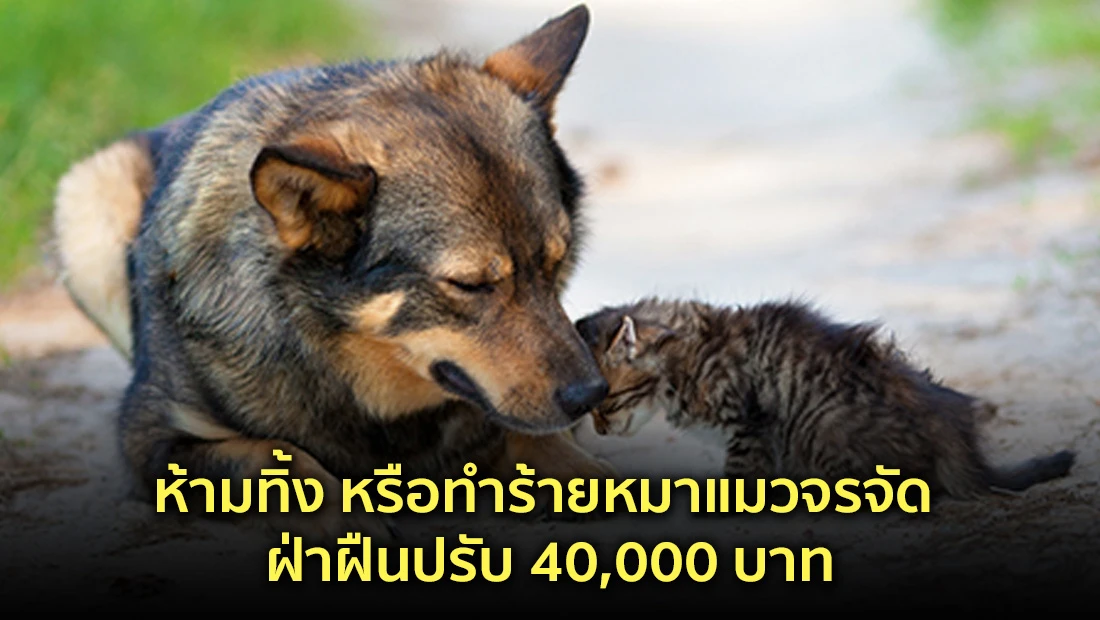 website 2528