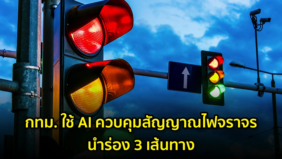 website 2537