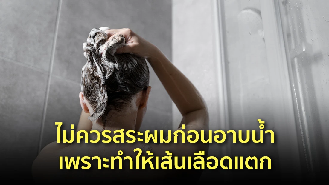 website 2548