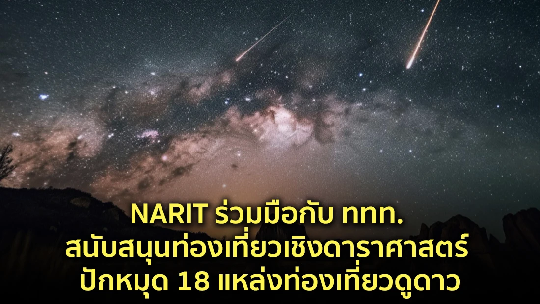website 2564