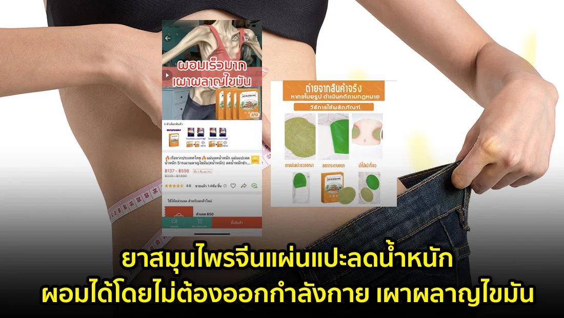 website 2395