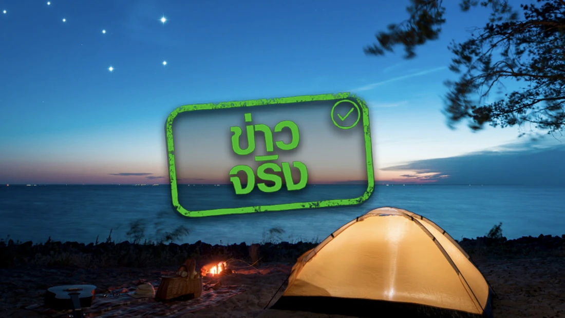 website 2554