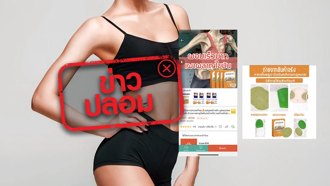 website 2385