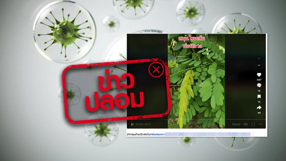website 2455