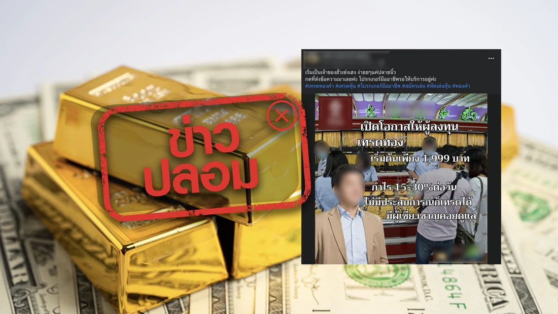 website 2686