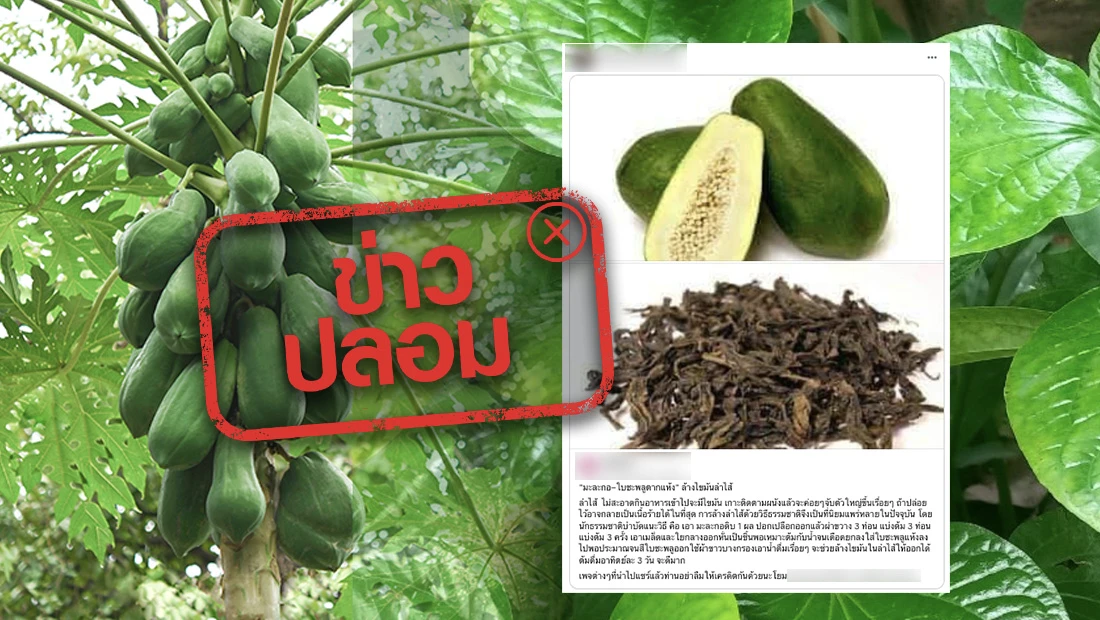 website 2774