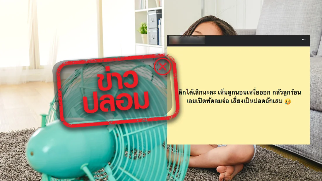 website 2602