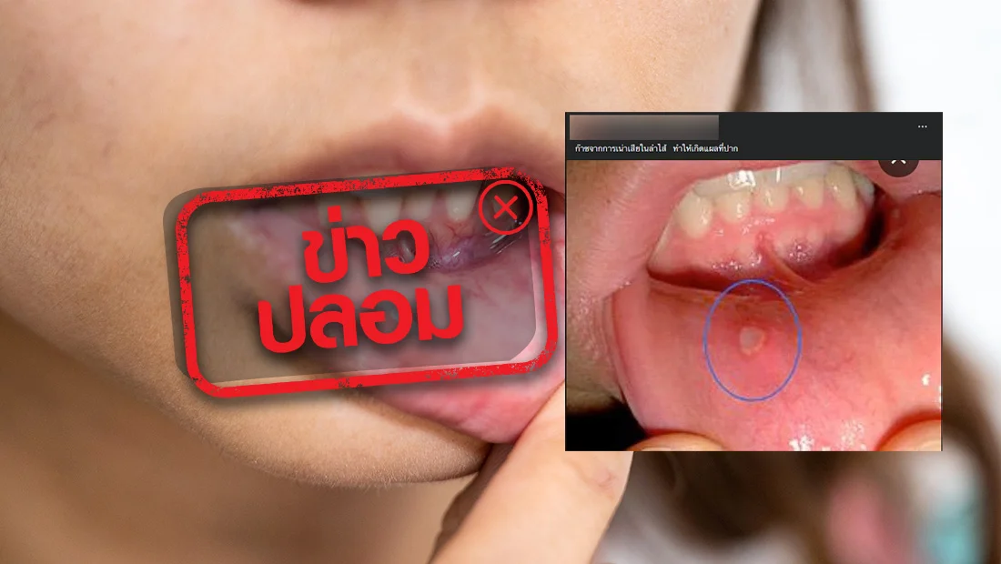 website 2584