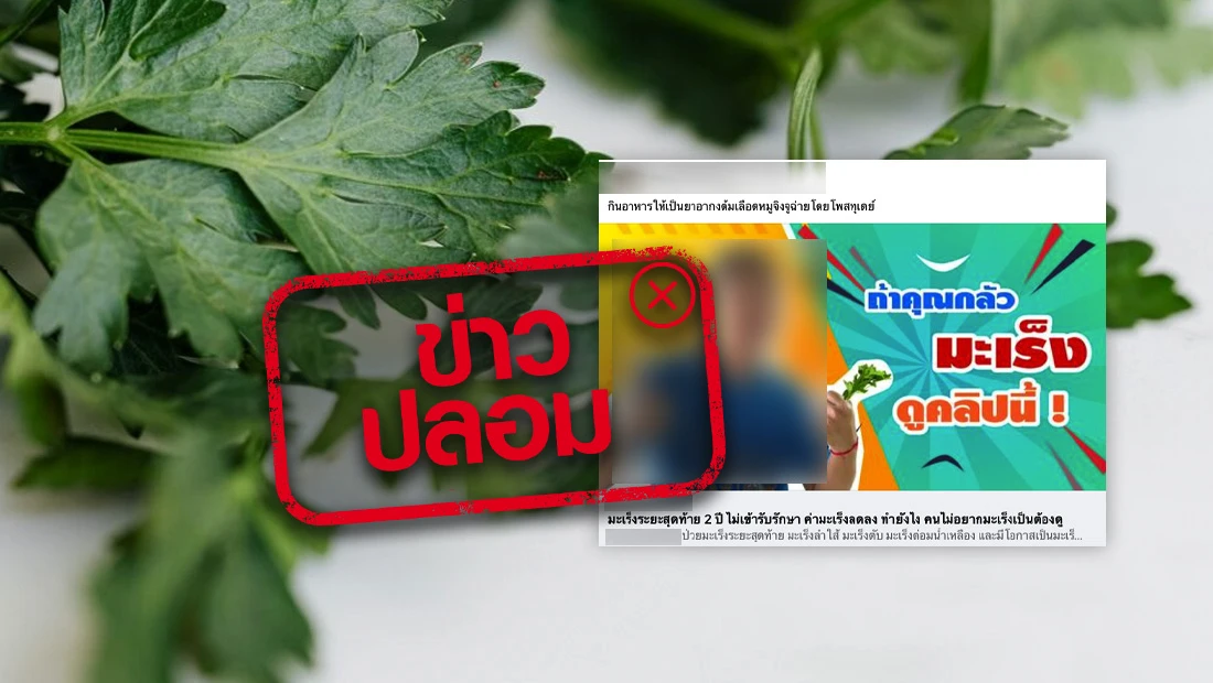 website 2659