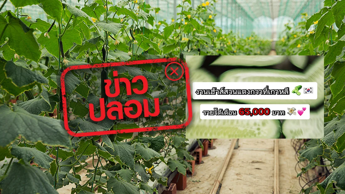 website 2674