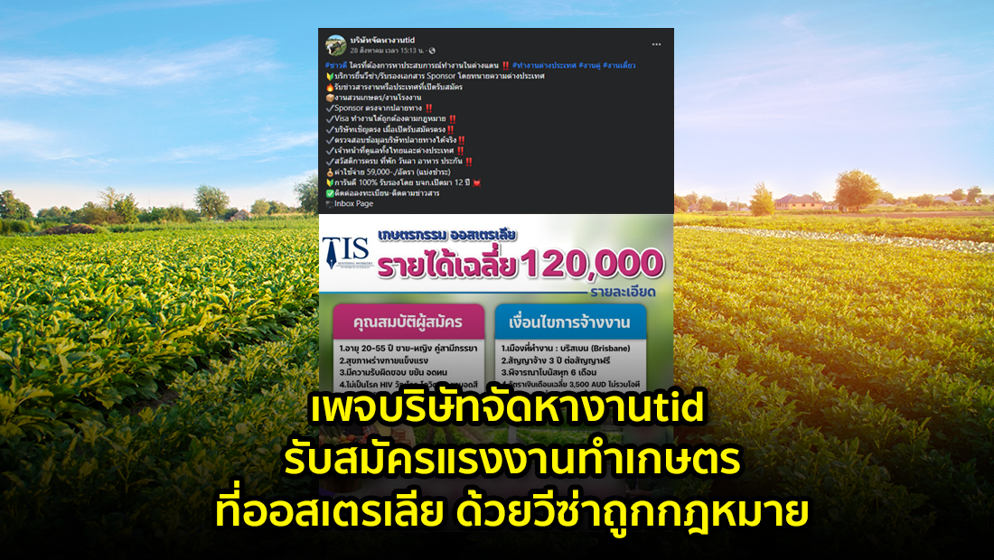website 2872