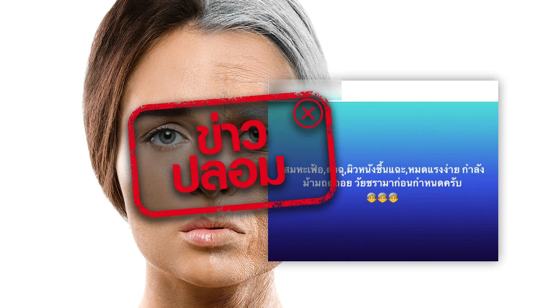 website 2985