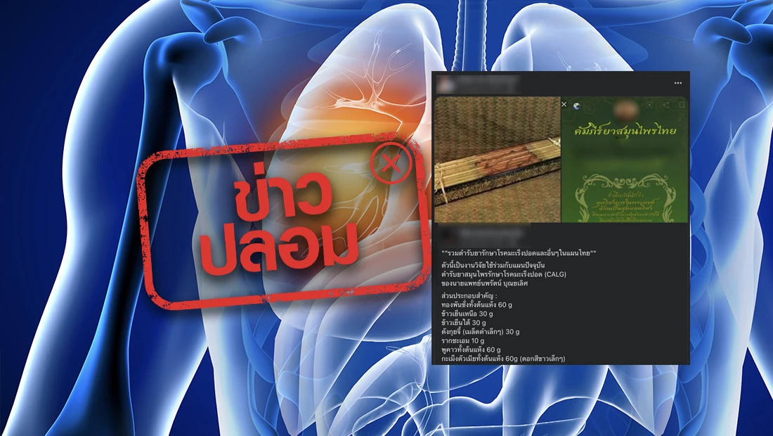 website 3000