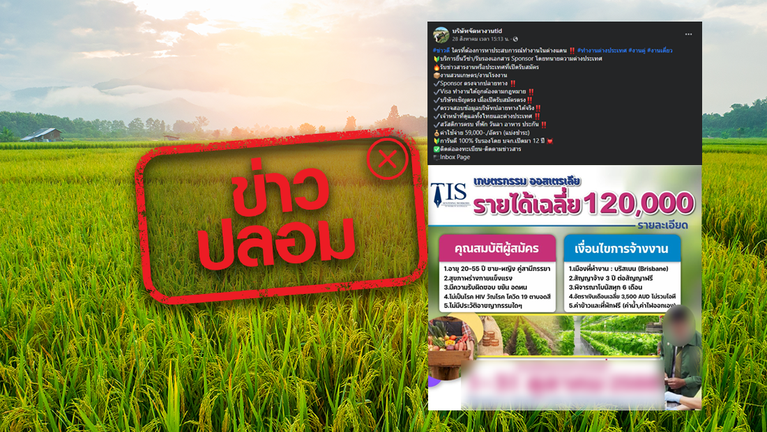 website 2860