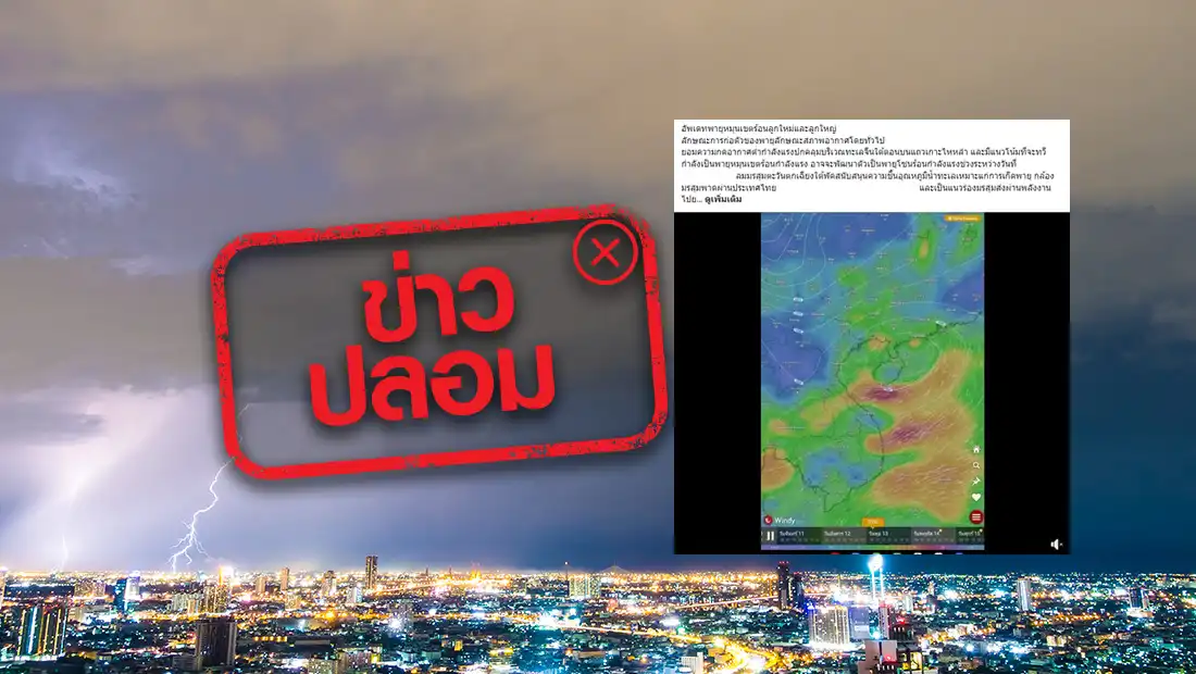 website 2906