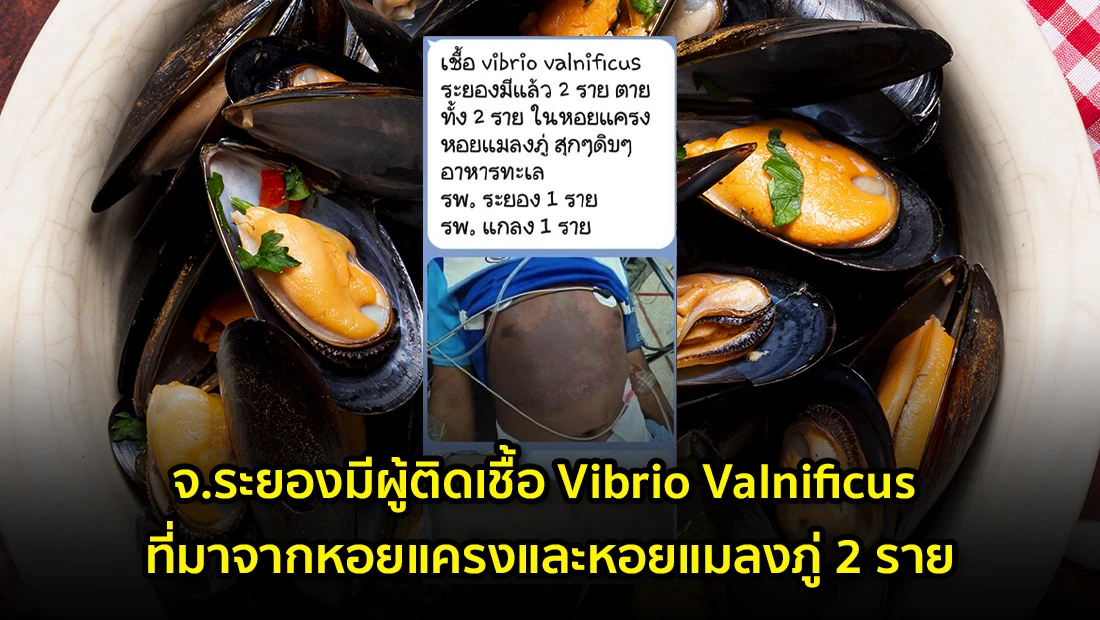 website 3070