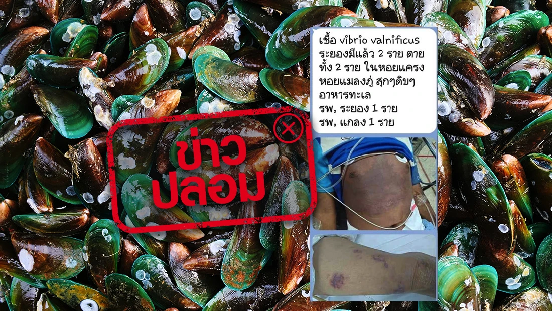 website 3069