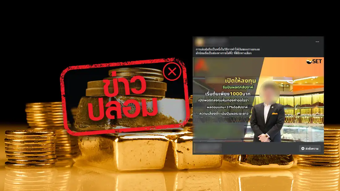 website 3134