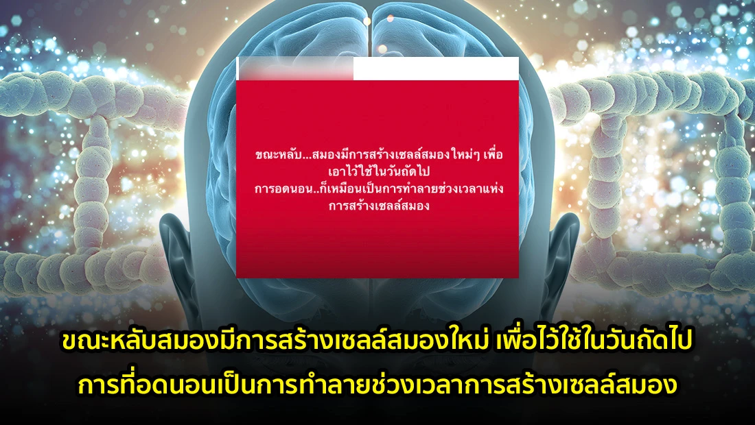website 3767