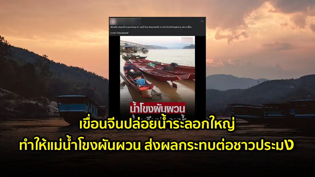 website 4035