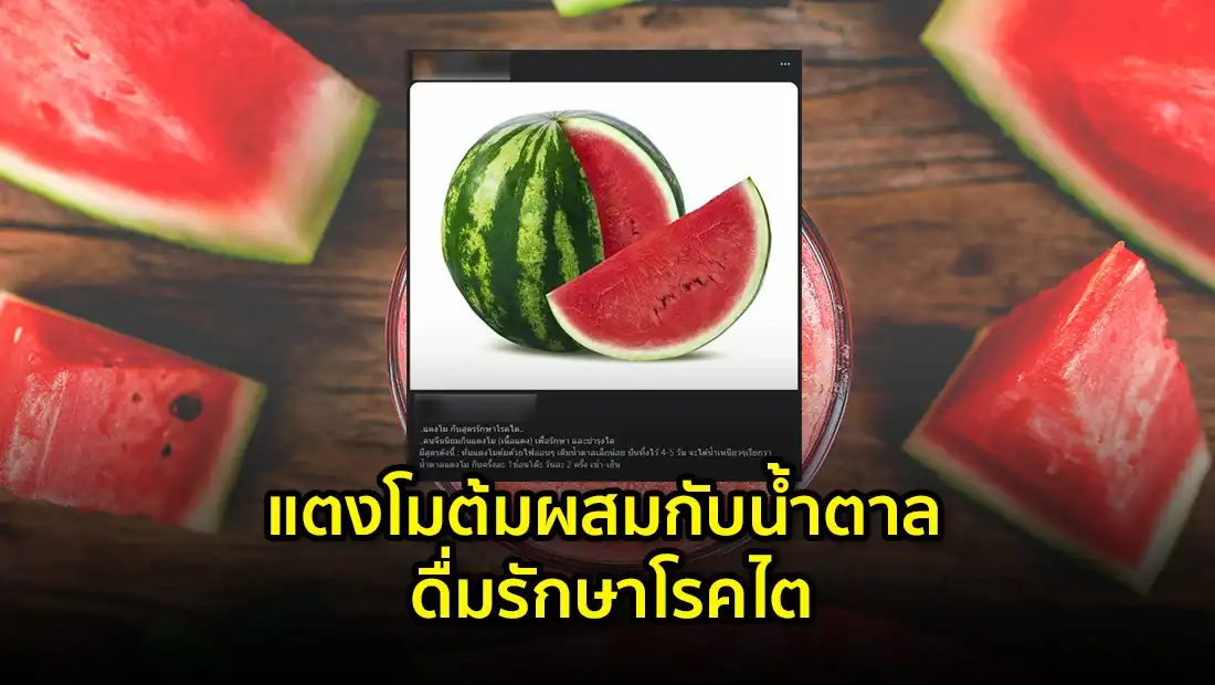 website 4459