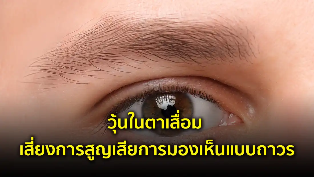 website 4492