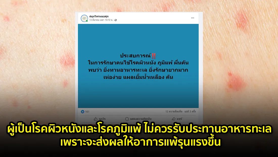 website 4524