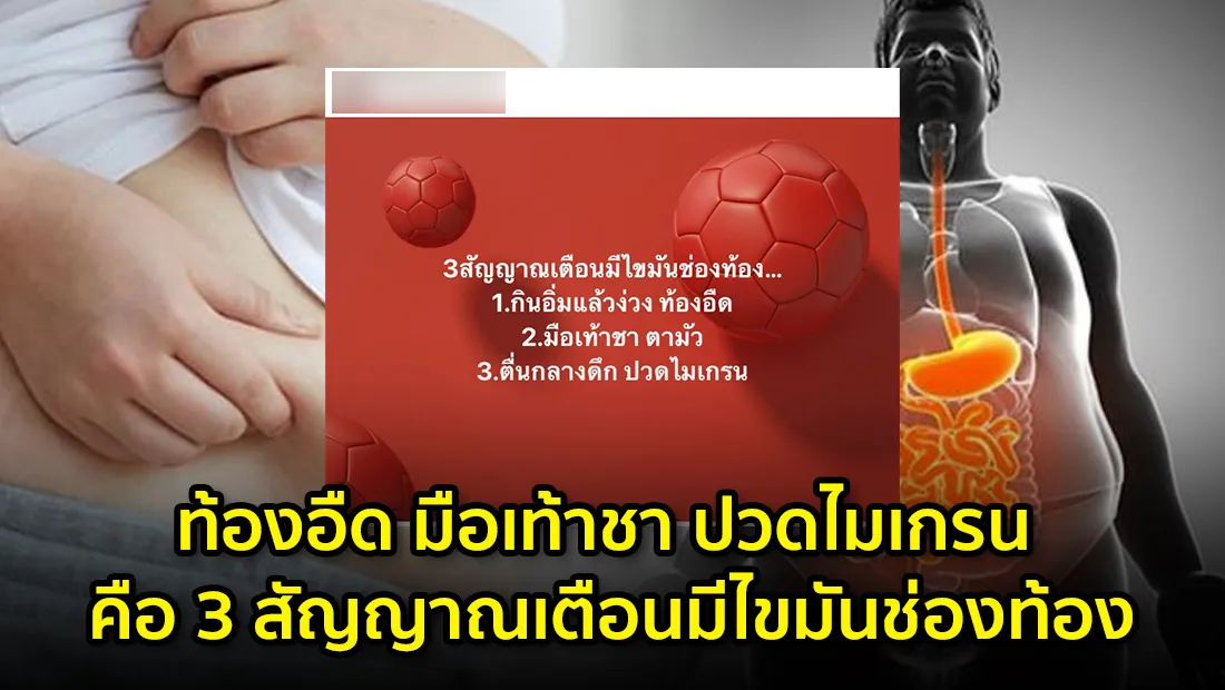 website 4526
