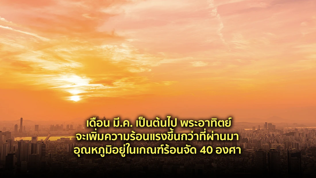 website 4581
