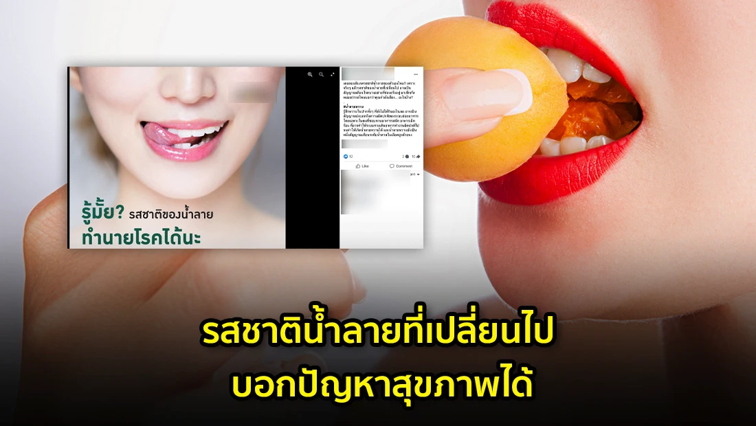 website 4587
