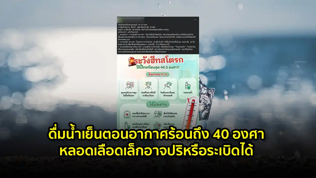 website 4602