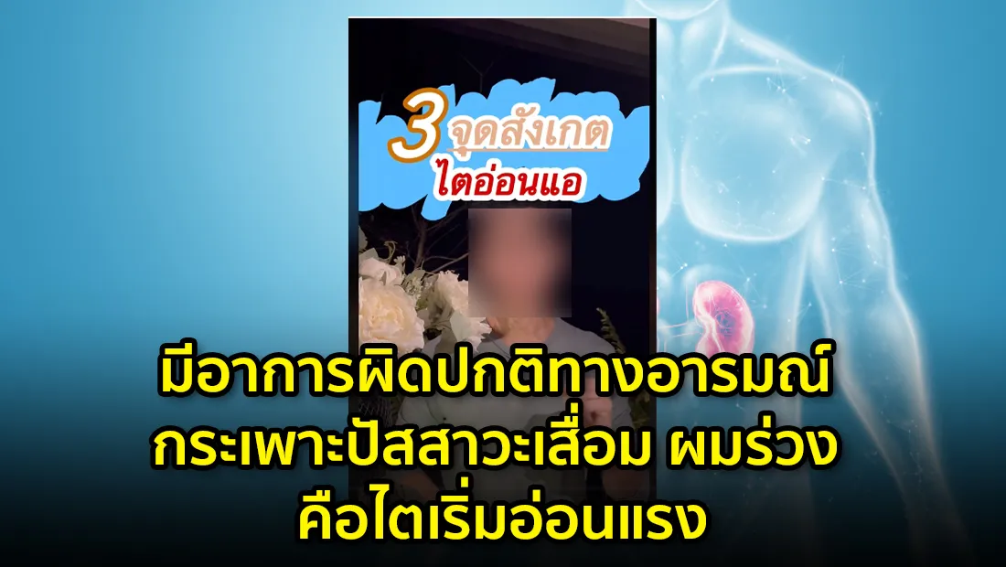 website 4630