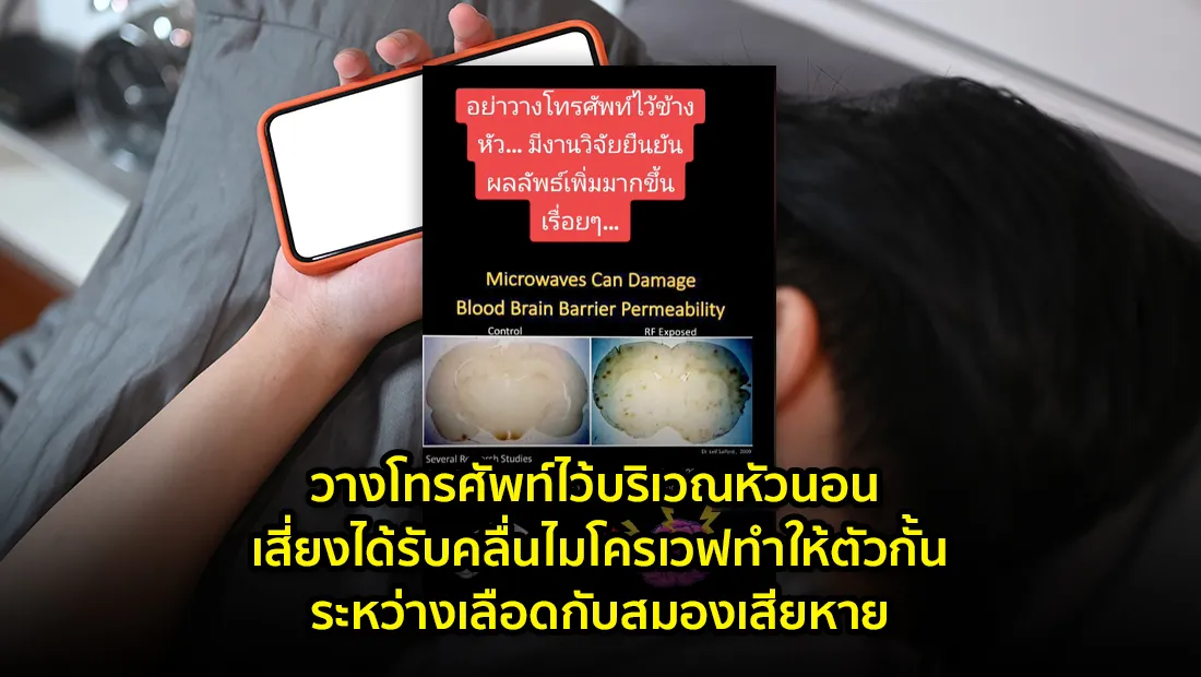 website 4634