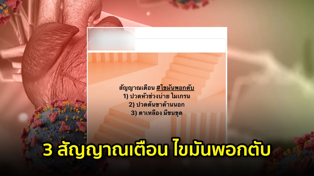 website 4642