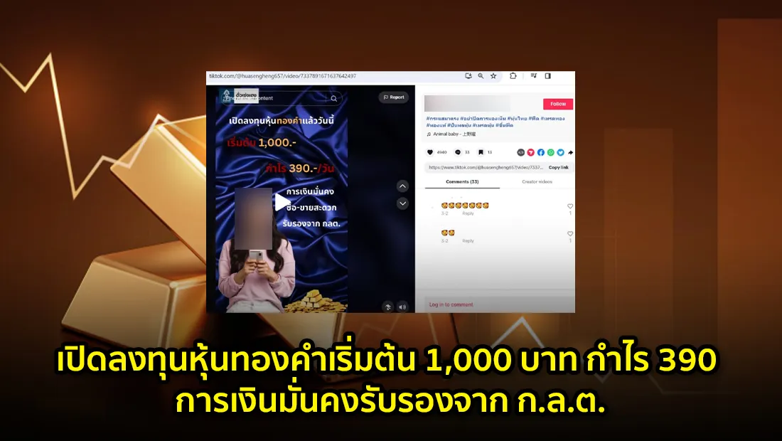 website 4648