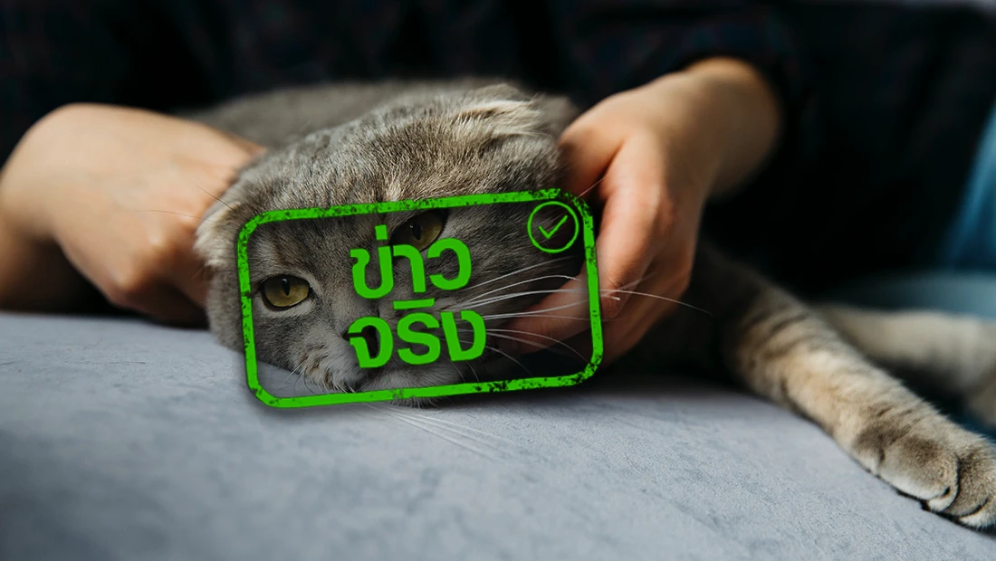 website stamp 4452