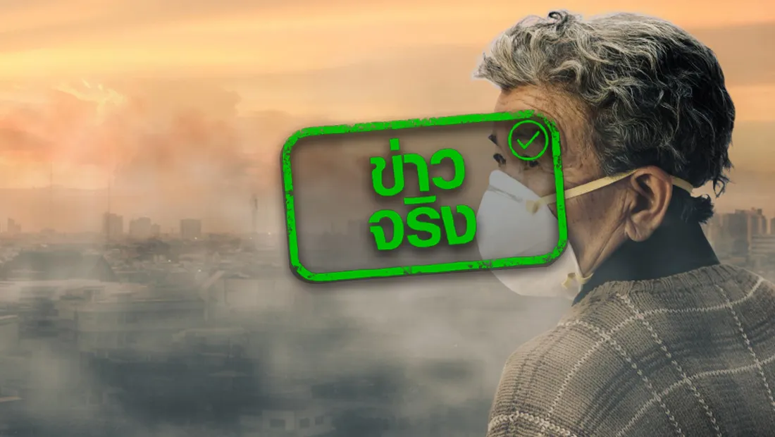 website stamp 4535