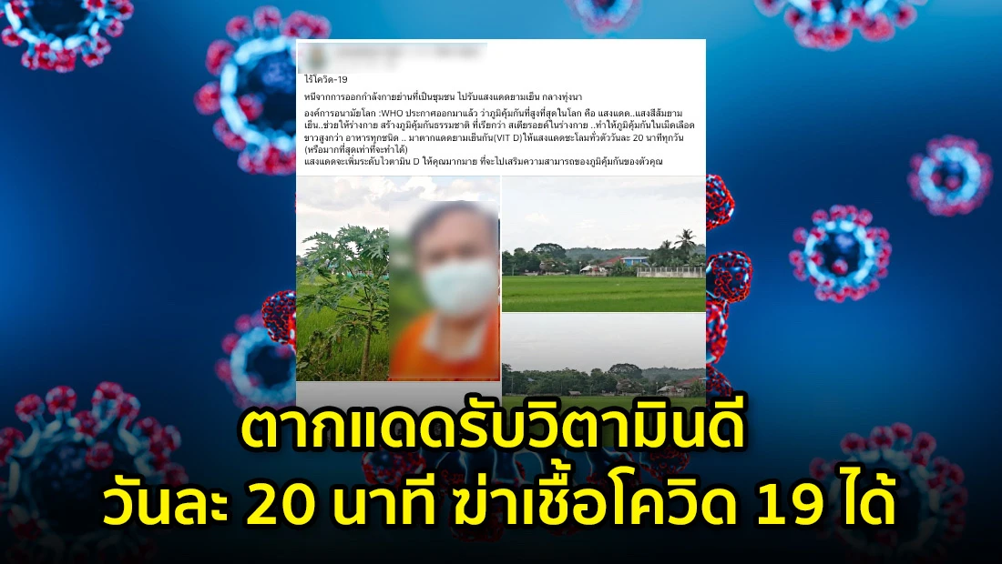 ตากแดดรับวิตามินดี วันละ 20 นาที ฆ่าเชื้อโควิด 19 ได้