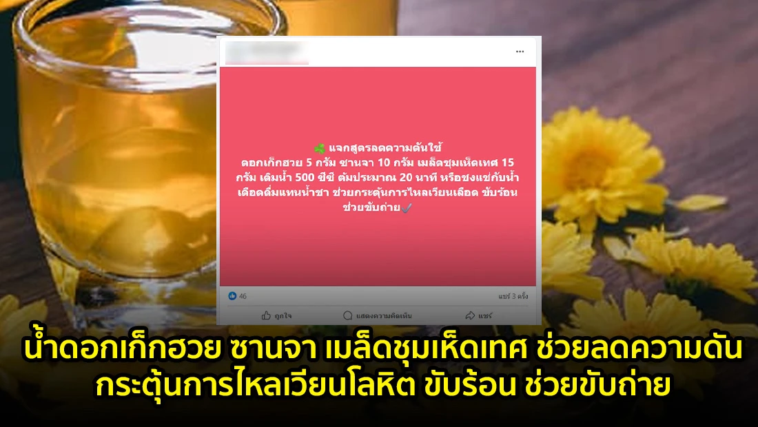 website 4690