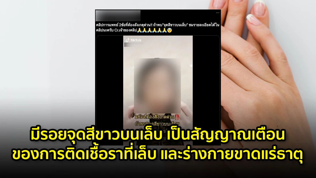 website 4683