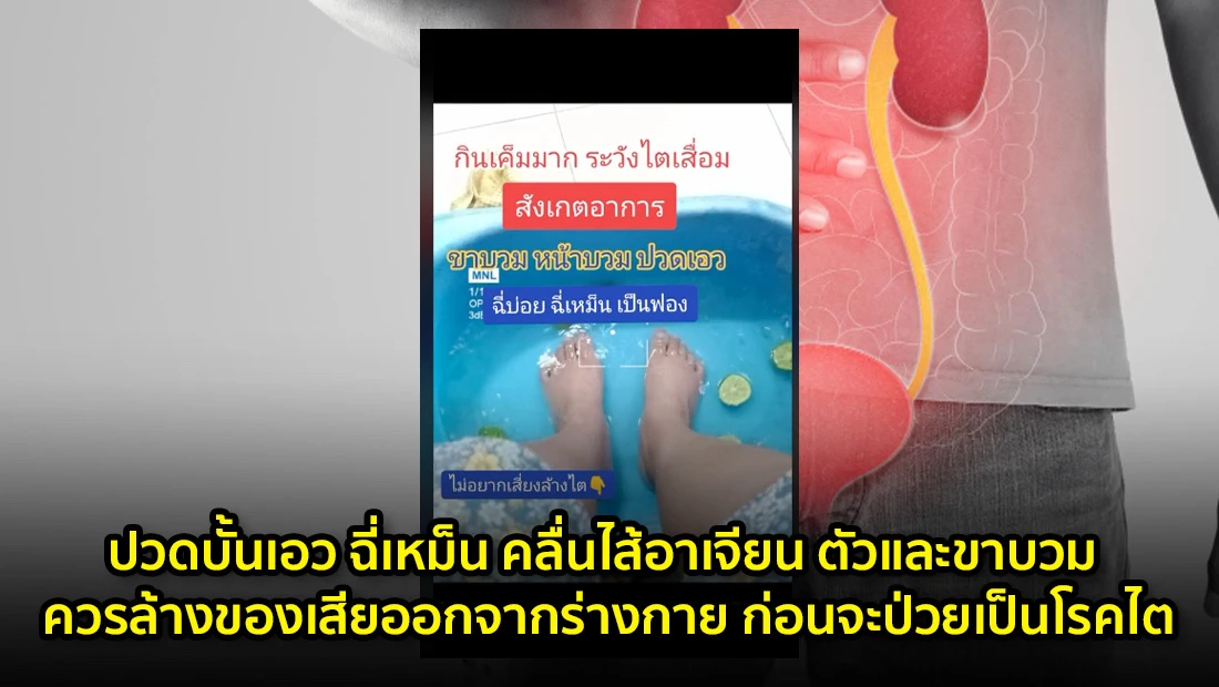 website 4685