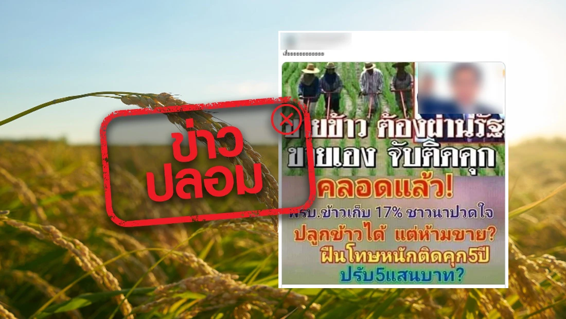 ซื้อ-ขายข้าว ต้องผ่านรัฐเท่านั้น