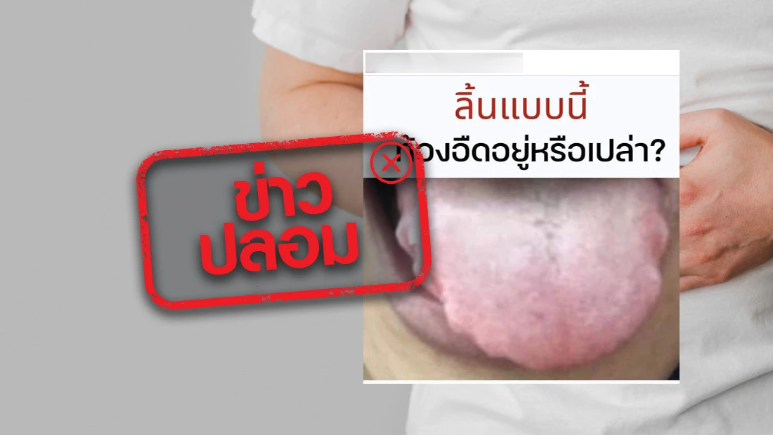 website stamp 4676