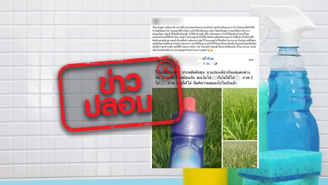 website stamp 4694
