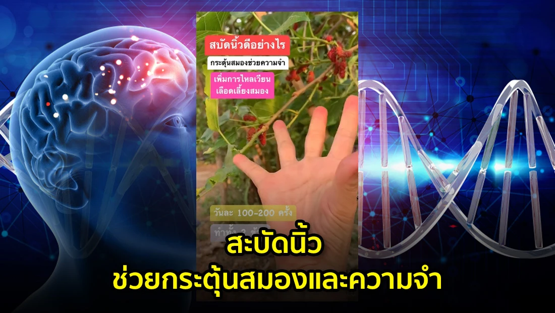 สะบัดนิ้ว ช่วยกระตุ้นสมองและความจำ